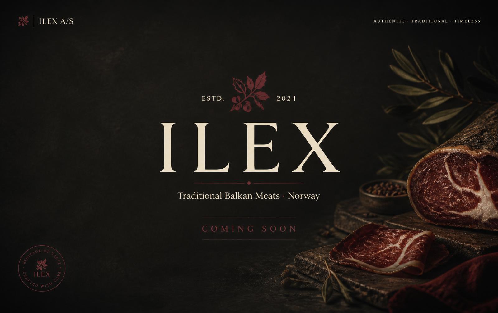 ILEX A/S project preview